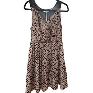 Size 8 mid length Polka dot dress from Lauren Conrad